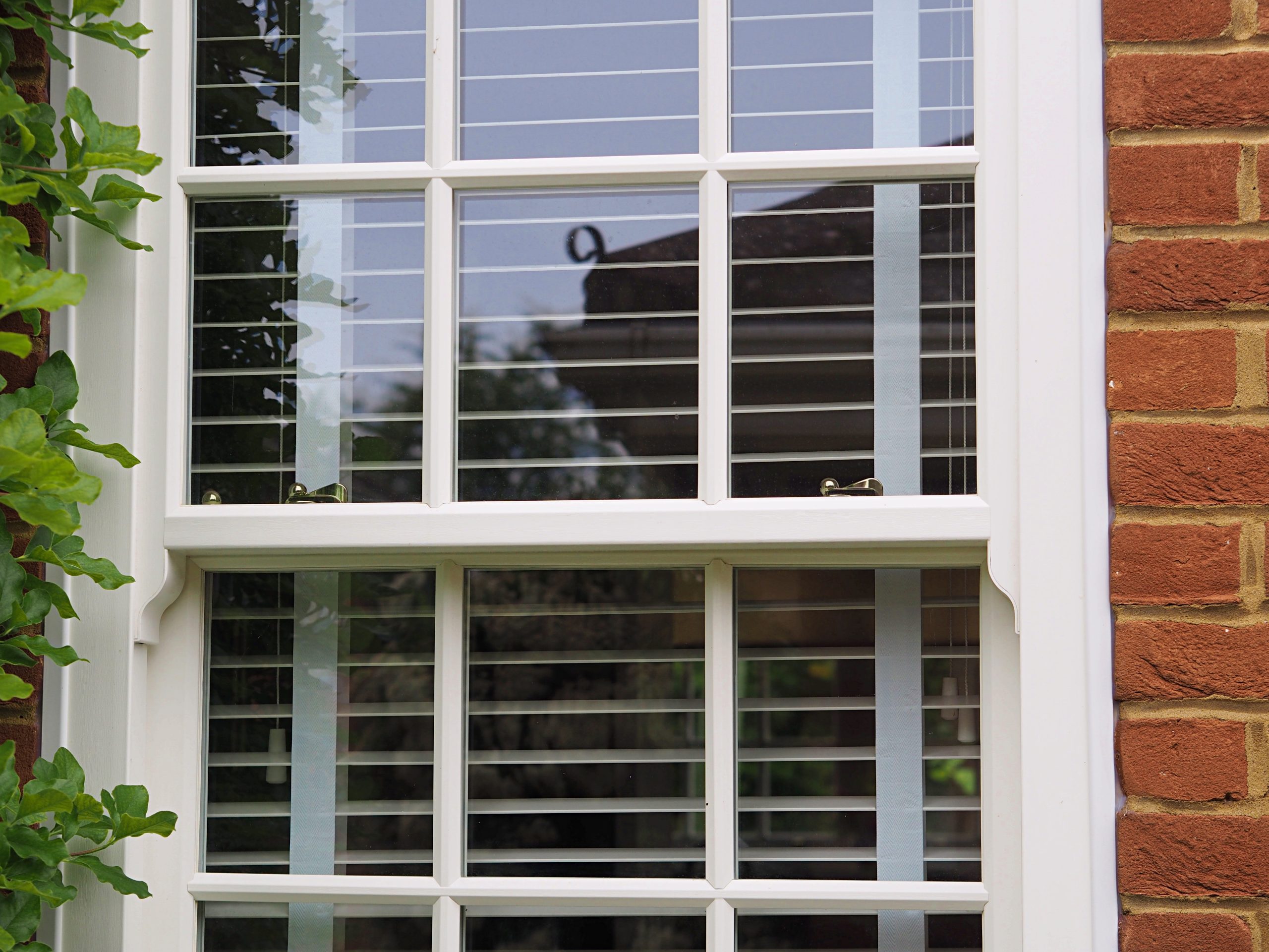 Sash Windows
