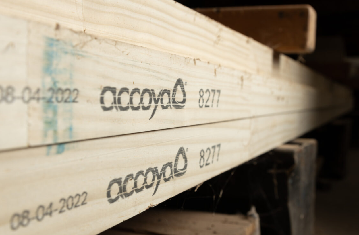 accoya timber door