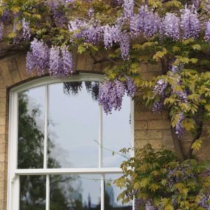 Spring-Themed Windows: Enhance Your Home with Panoramic Windows